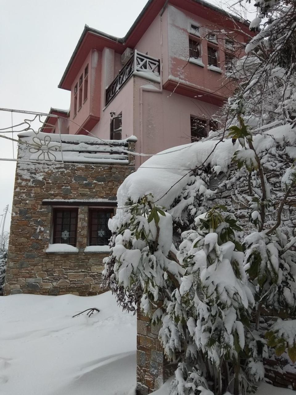 Guesthouse Iris ซาการาดา ภายนอก รูปภาพ
